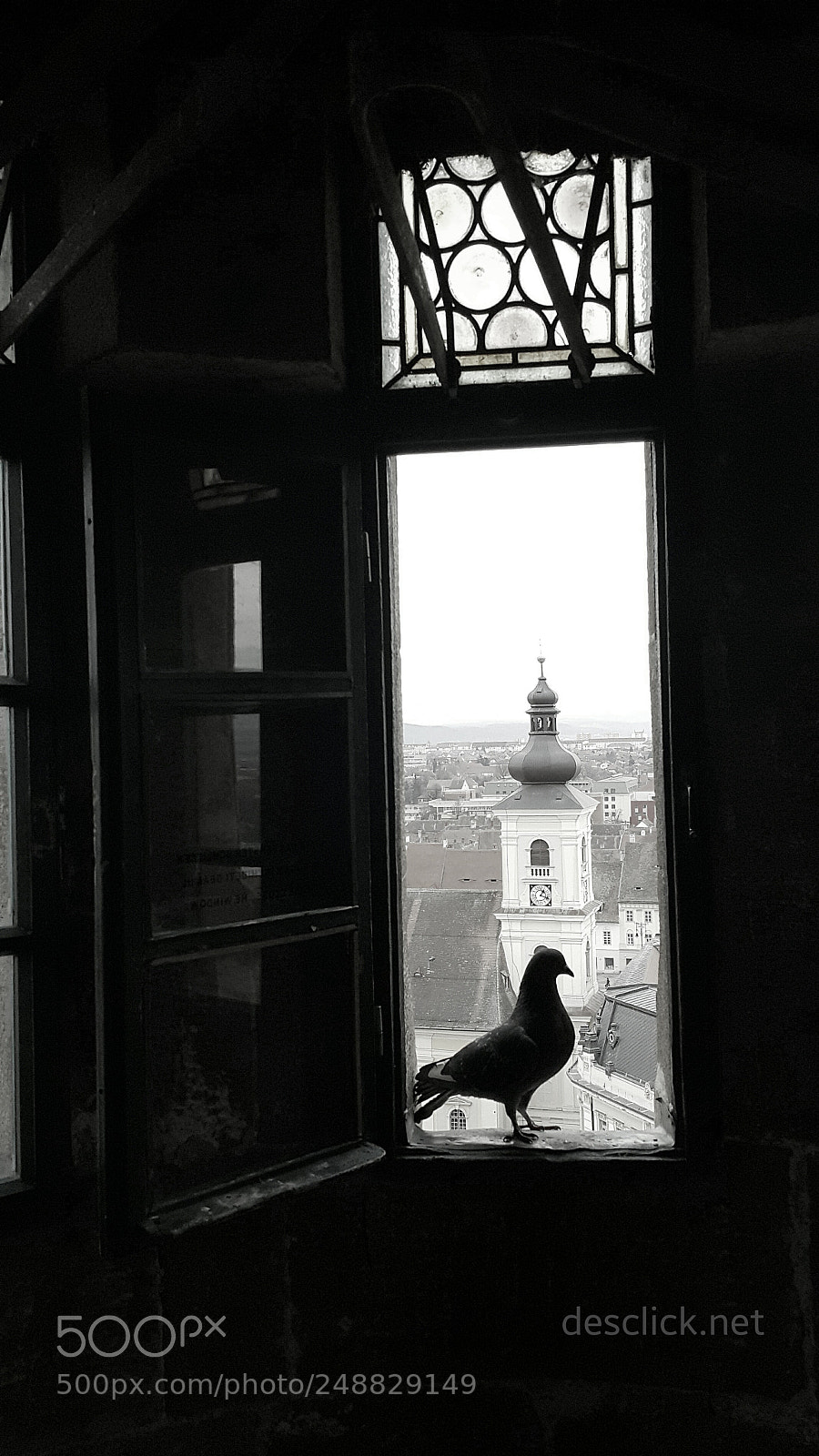 Samsung Galaxy Note4 sample photo. Bird, watching ... photography