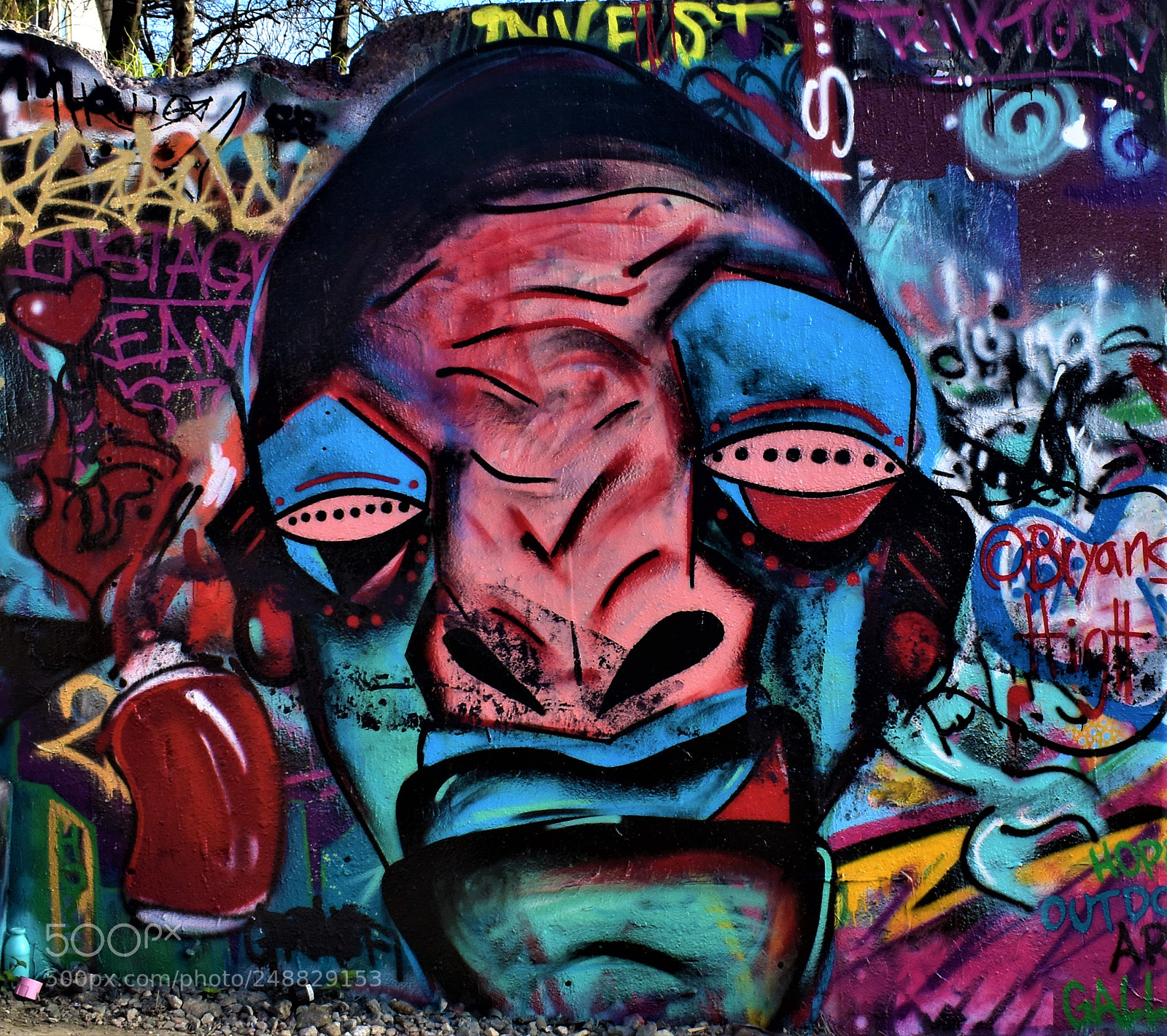 Nikon D3400 sample photo. Street art austin photography