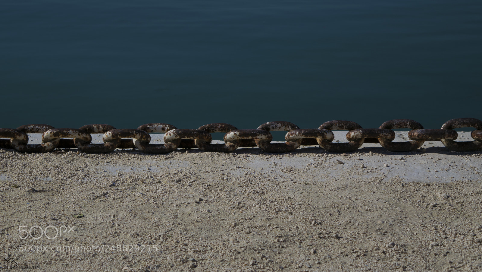Nikon D3300 sample photo. Untitled photography