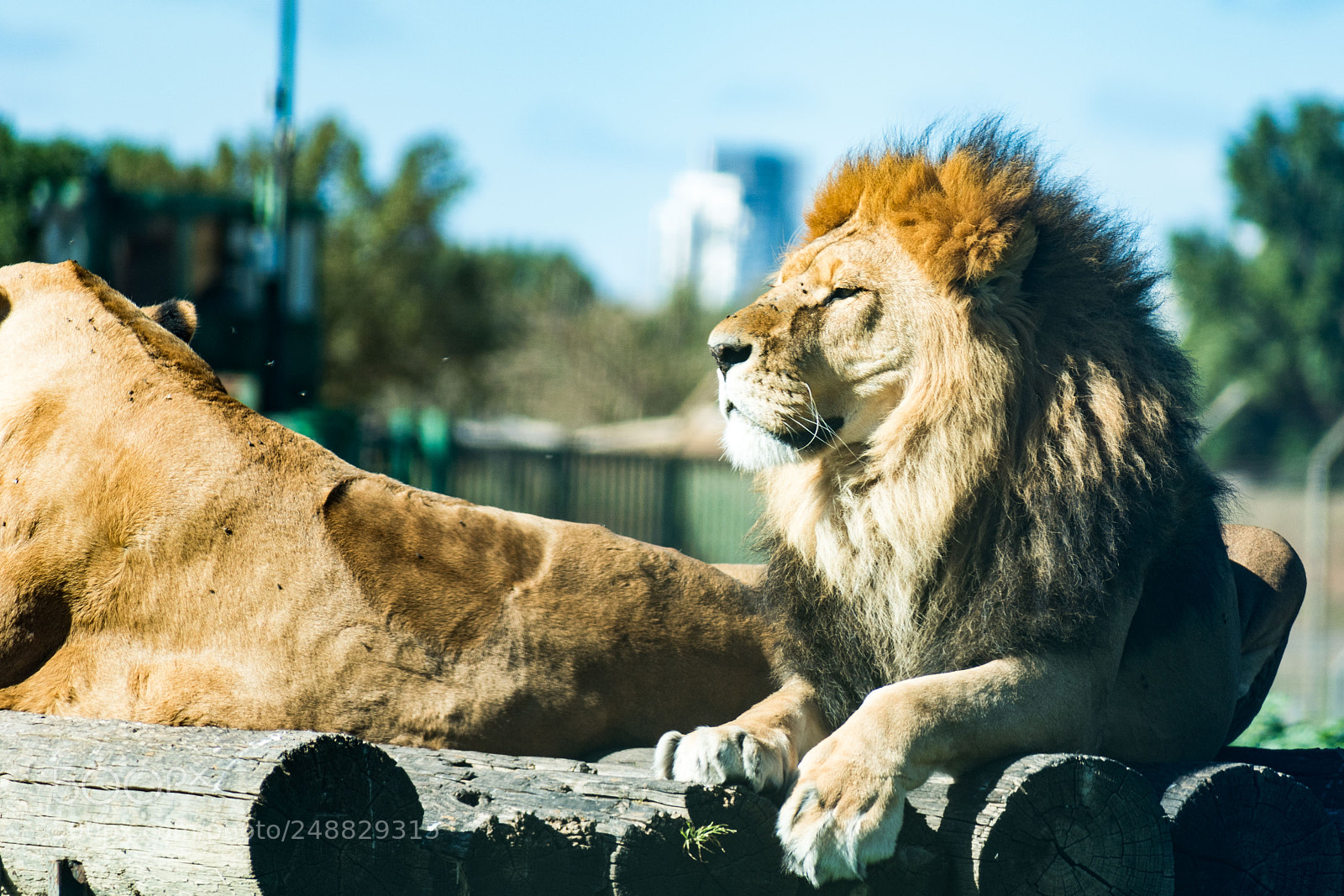 Nikon D5600 sample photo. A day at the photography