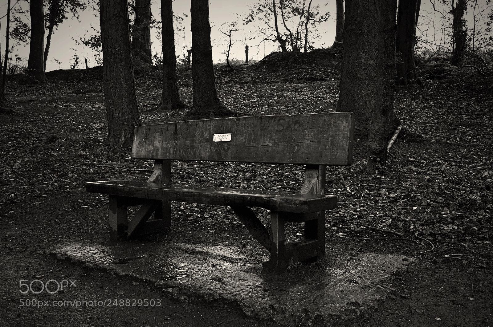 Nikon D3200 sample photo. Crumlin glen bench photography