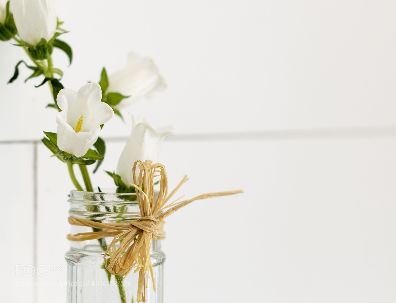Nikon D3200 sample photo. Bright white photography