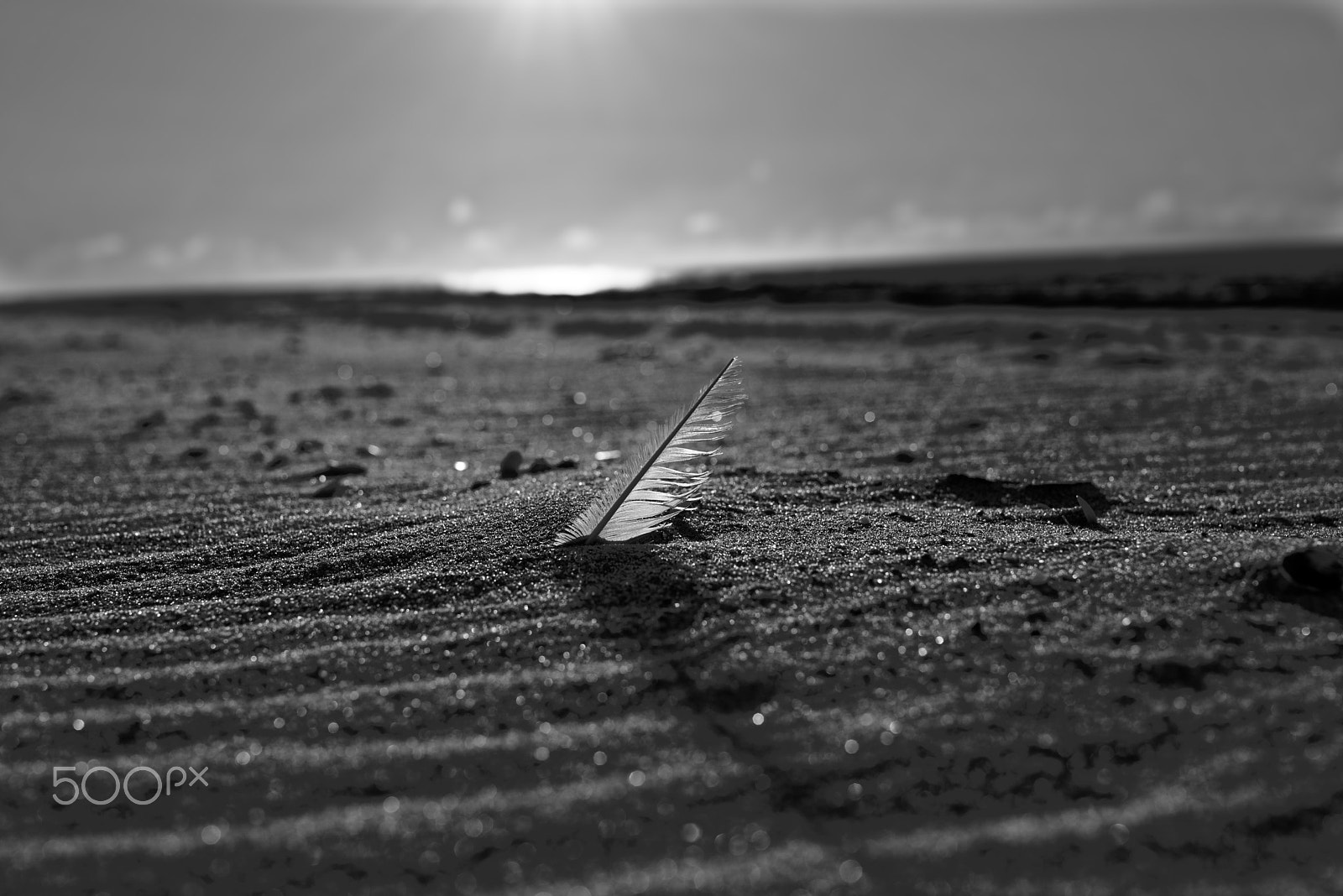 Sigma 50mm F1.4 DG HSM Art sample photo. Lonely sailor photography