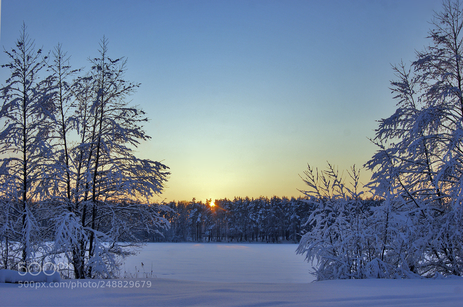 Sony Alpha DSLR-A290 sample photo. Freezing day photography