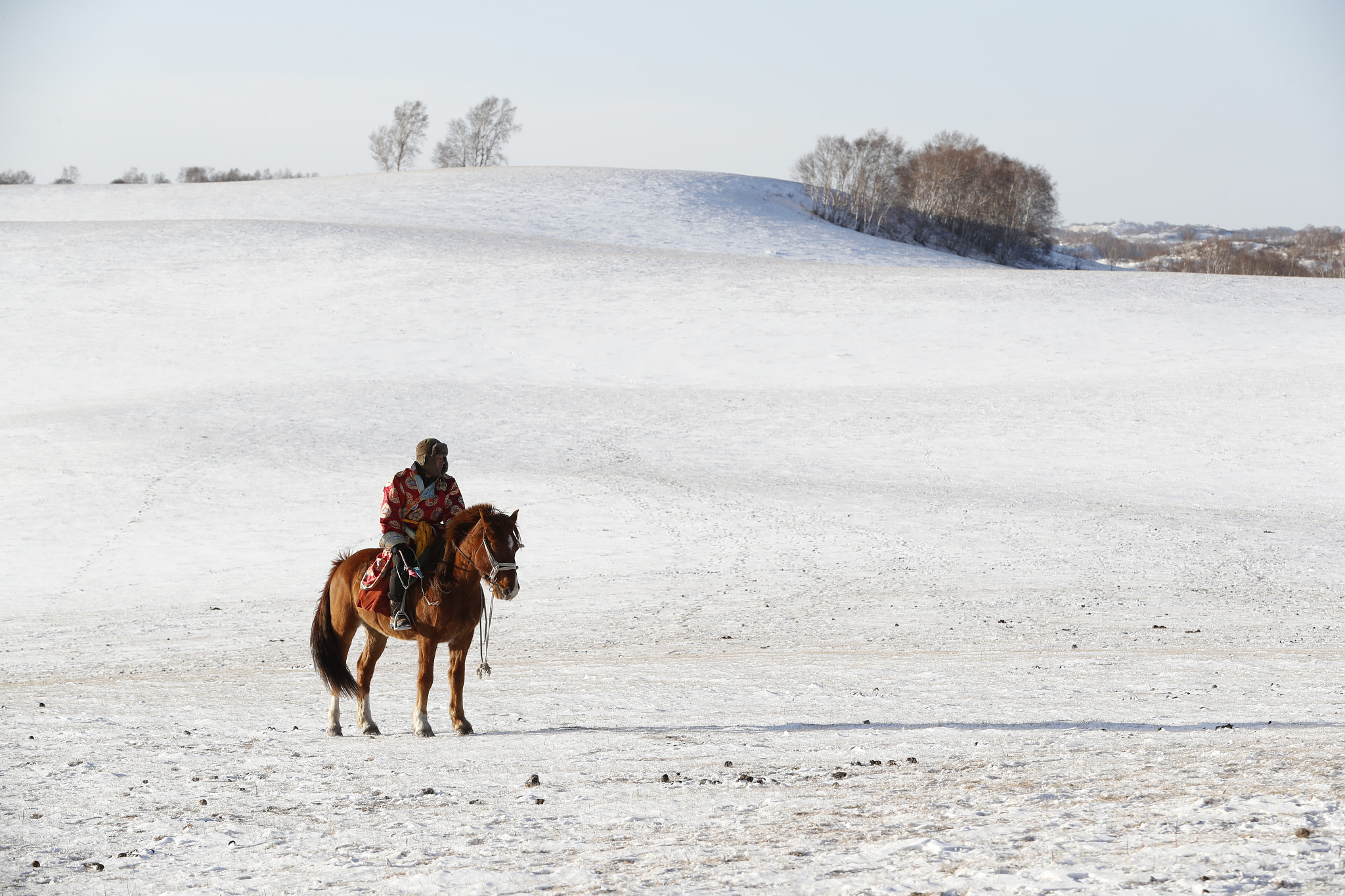 Canon EOS-1D X Mark II sample photo. Horse men photography