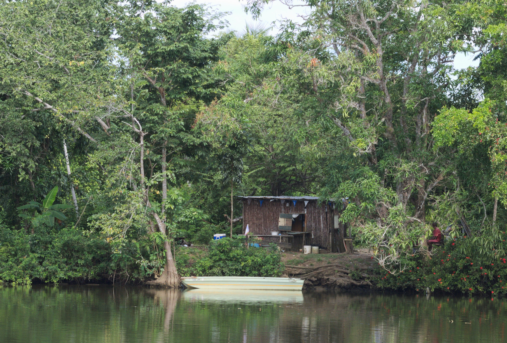 Pentax K-S2 sample photo. Life on the river banks photography