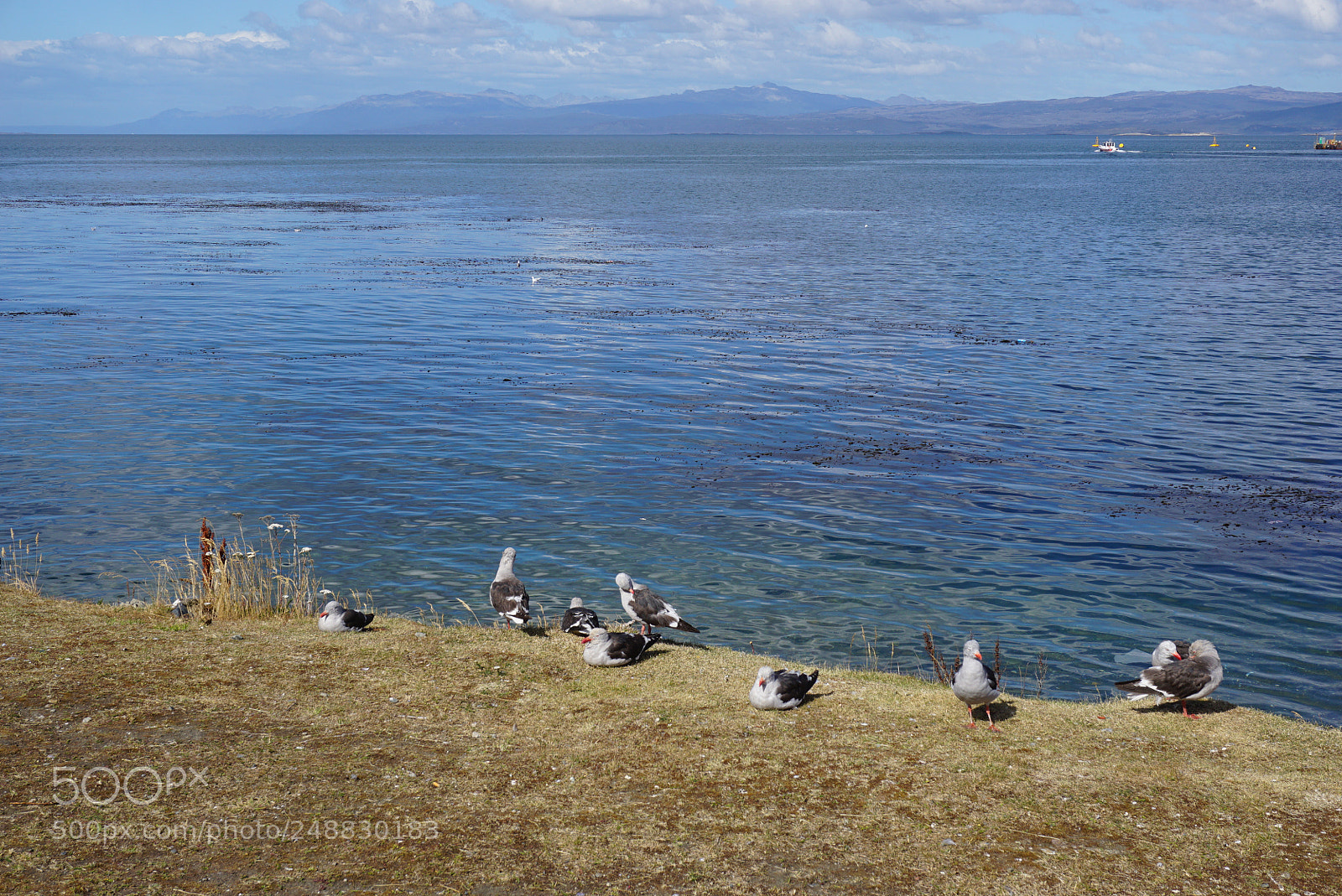 Sony a6000 sample photo. Ushuaia, tierra del fuego photography