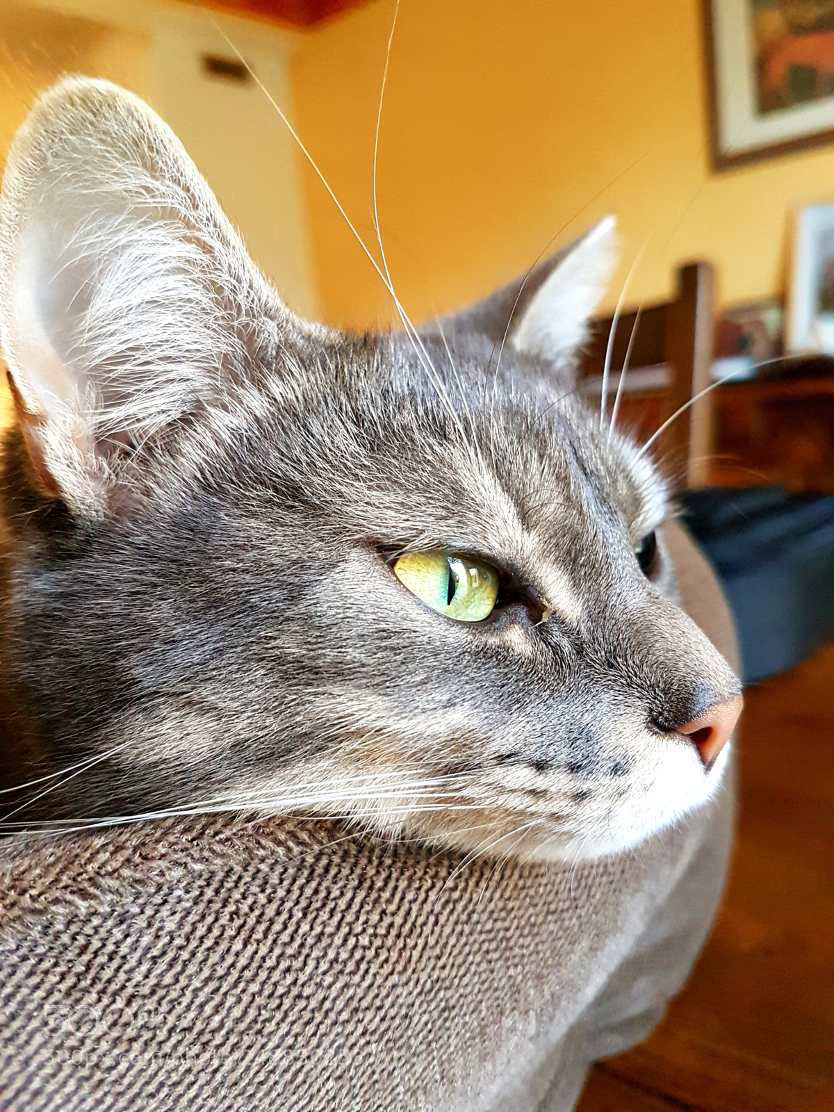 Samsung Galaxy S7 Edge sample photo. Untitled photography