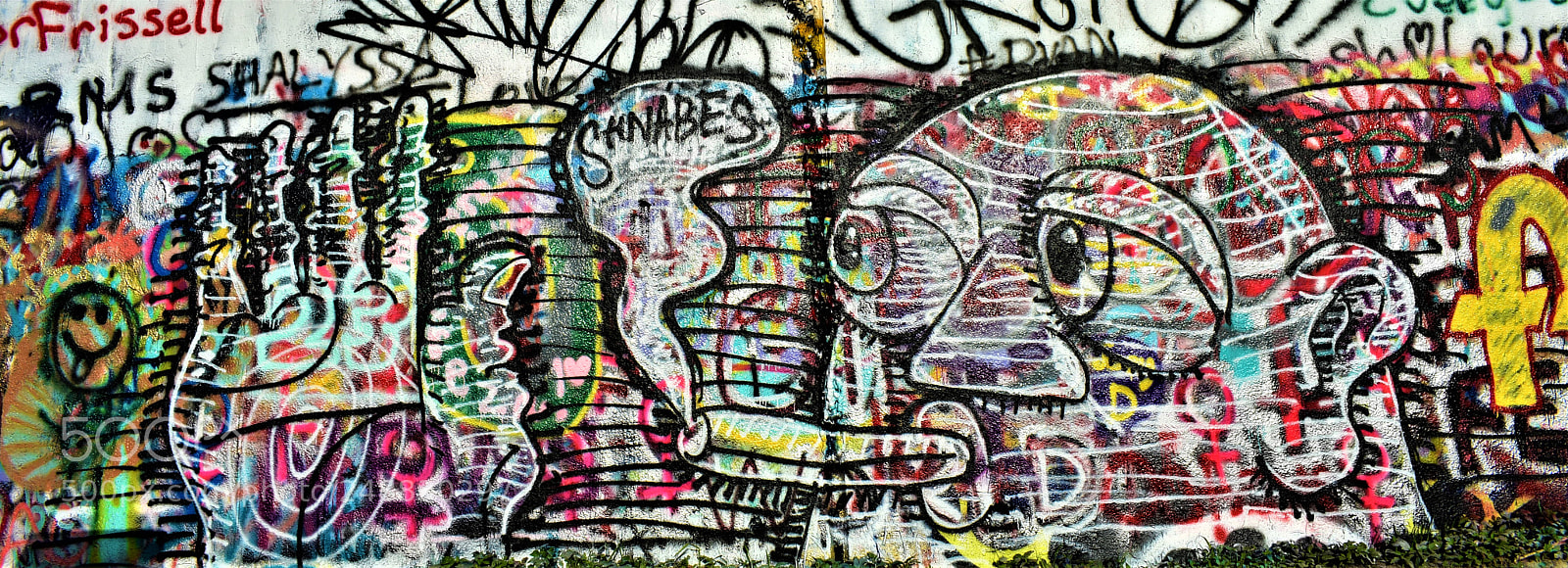 Nikon D3400 sample photo. Street art austin photography