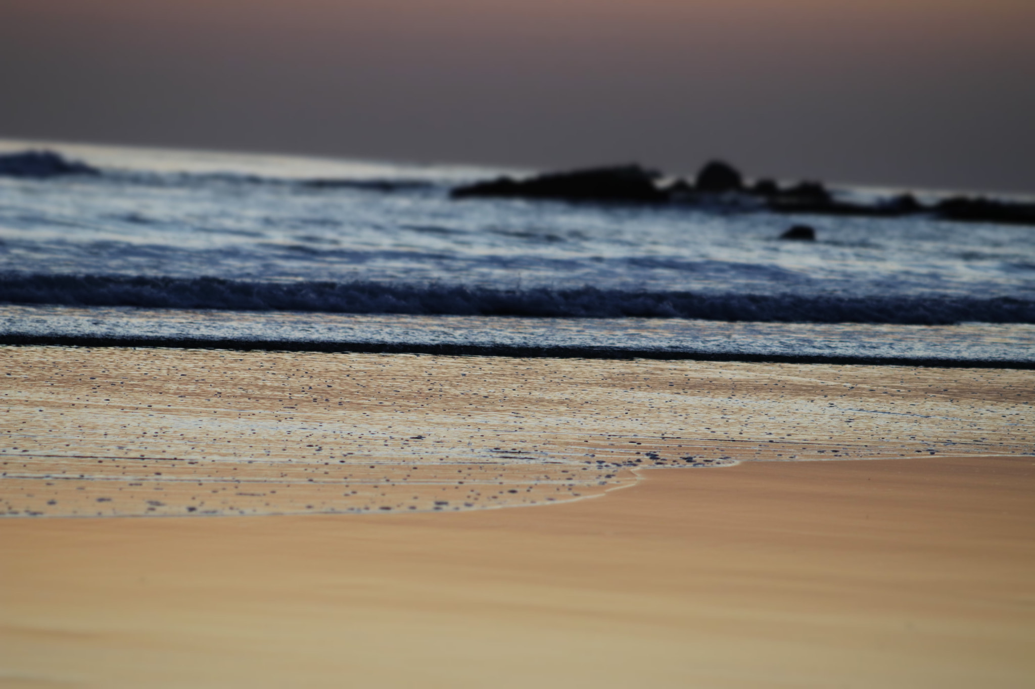 Canon EF 75-300mm f/4-5.6 sample photo. Img photography