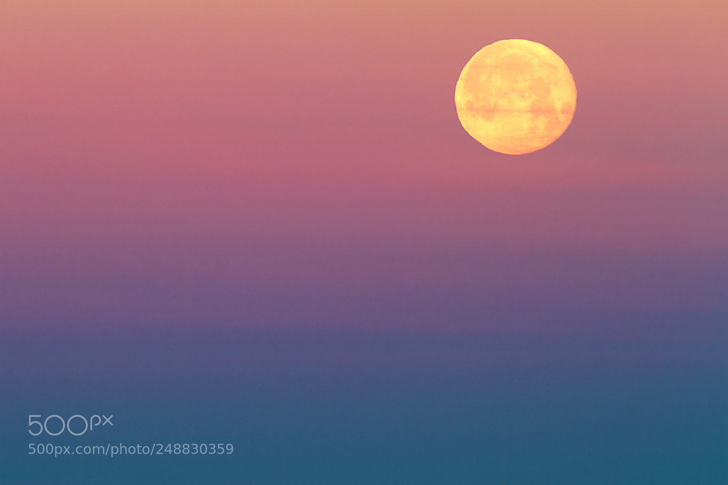 Canon EOS 7D sample photo. Pastel-colored photography