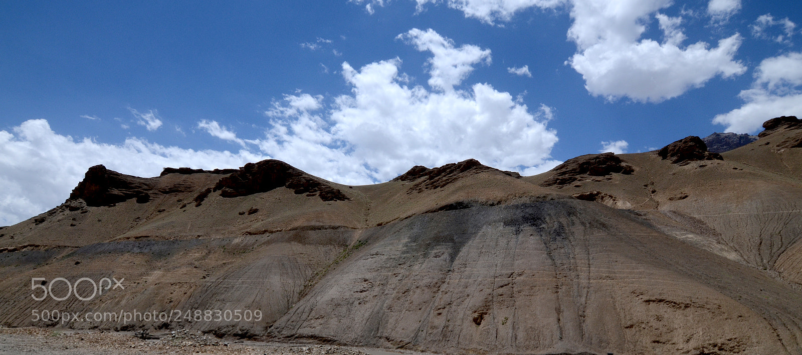 Nikon D5100 sample photo. Untitled photography