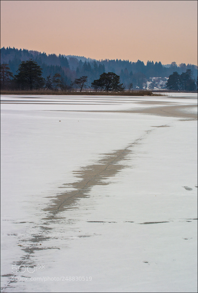 Nikon D7100 sample photo. °°° ice °°° photography