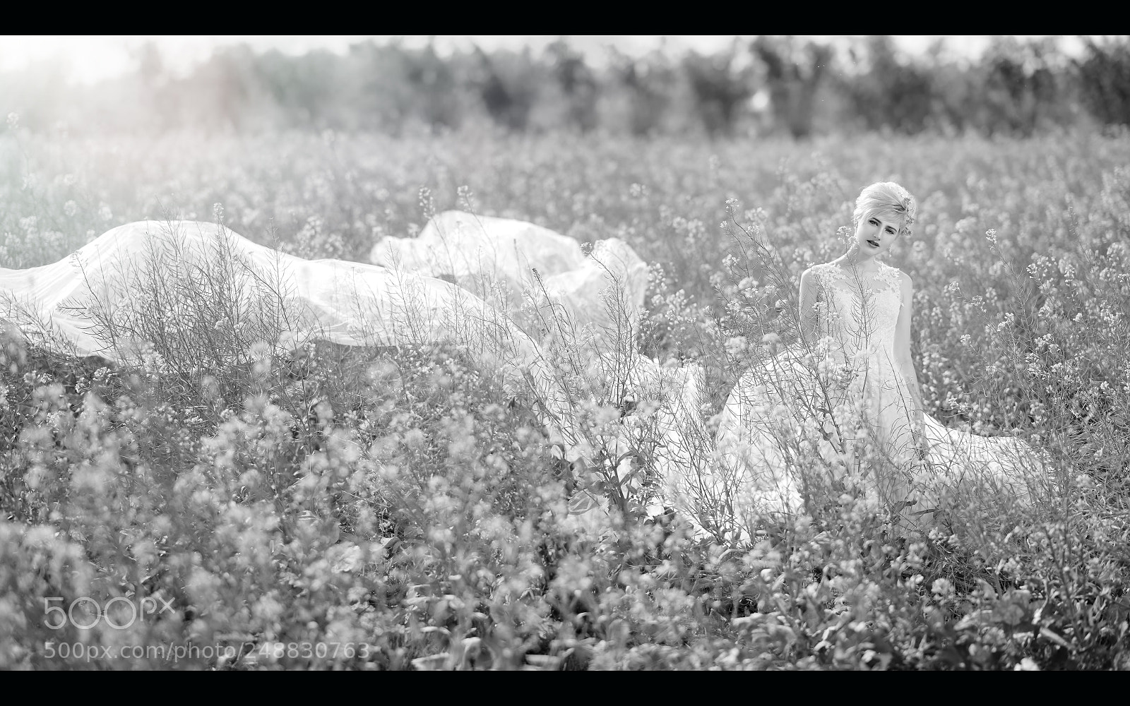 Nikon D850 sample photo. Untitled photography