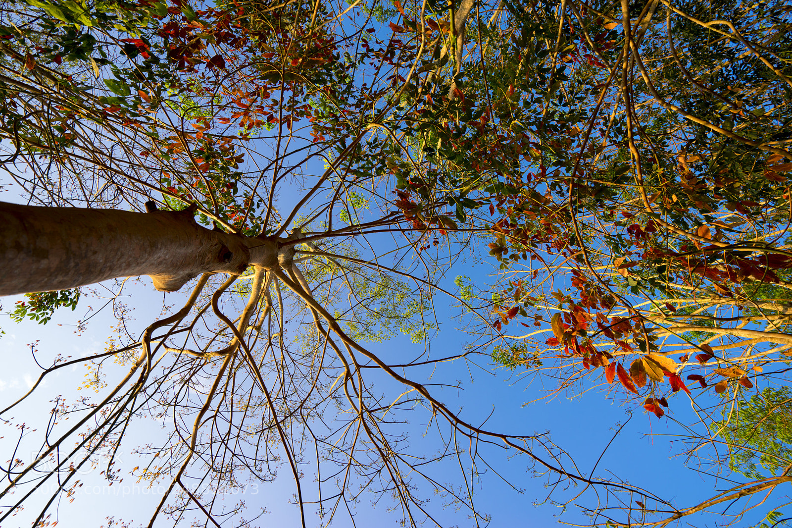 Sony a7 II sample photo. Dsc photography