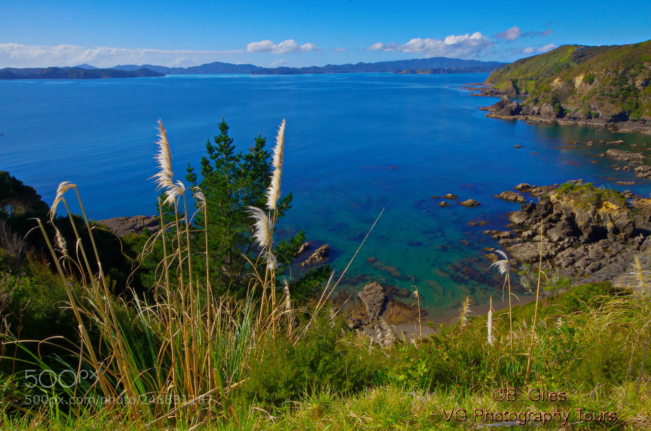 Pentax K-5 IIs sample photo. Bay of islands n.z photography