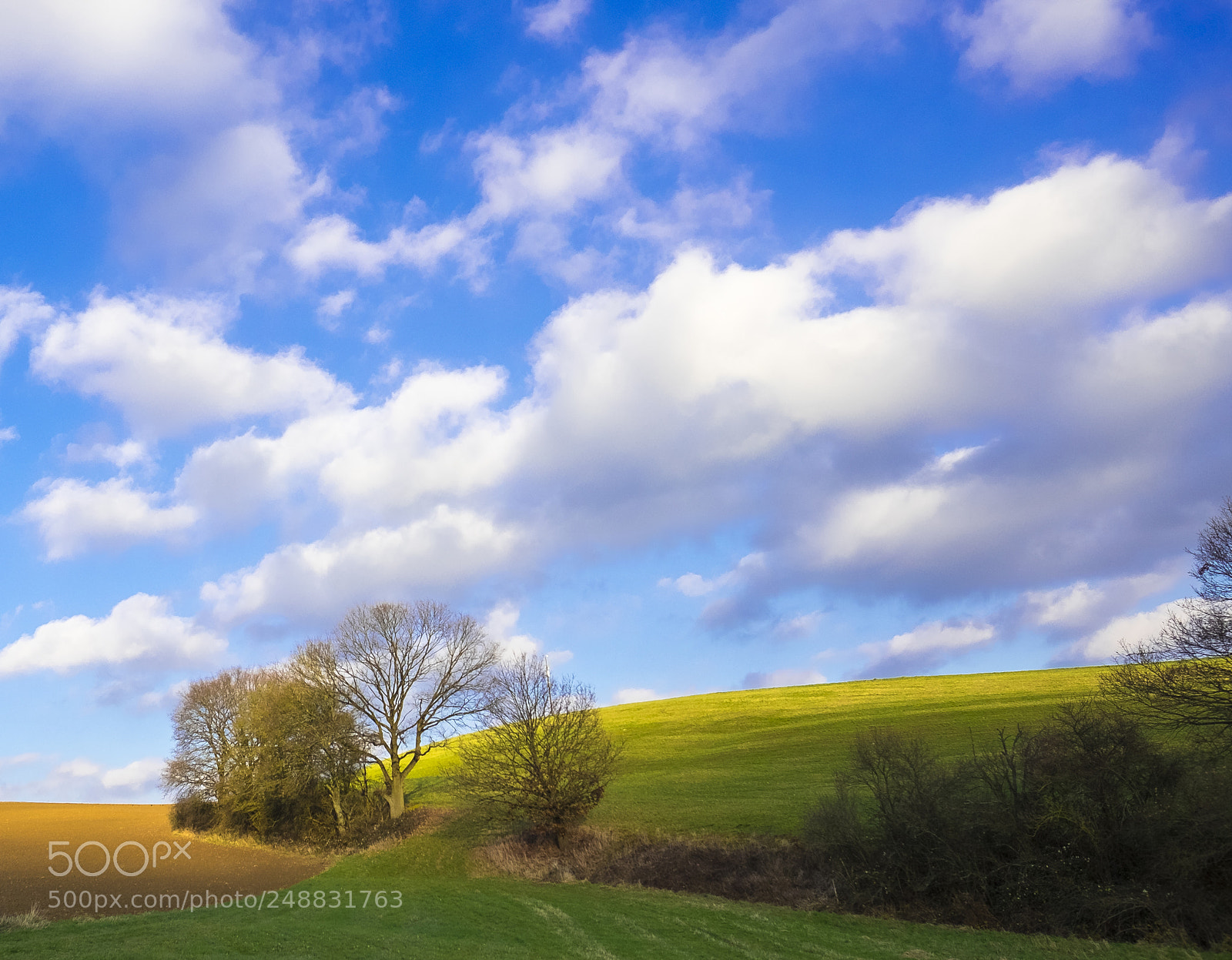 Fujifilm X-T1 sample photo. Sun on the hill photography