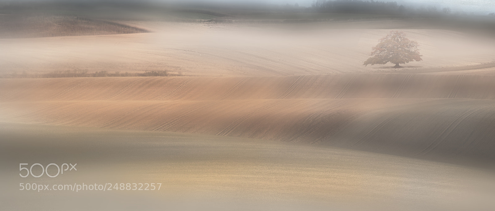 Olympus PEN-F sample photo. Misty fields photography