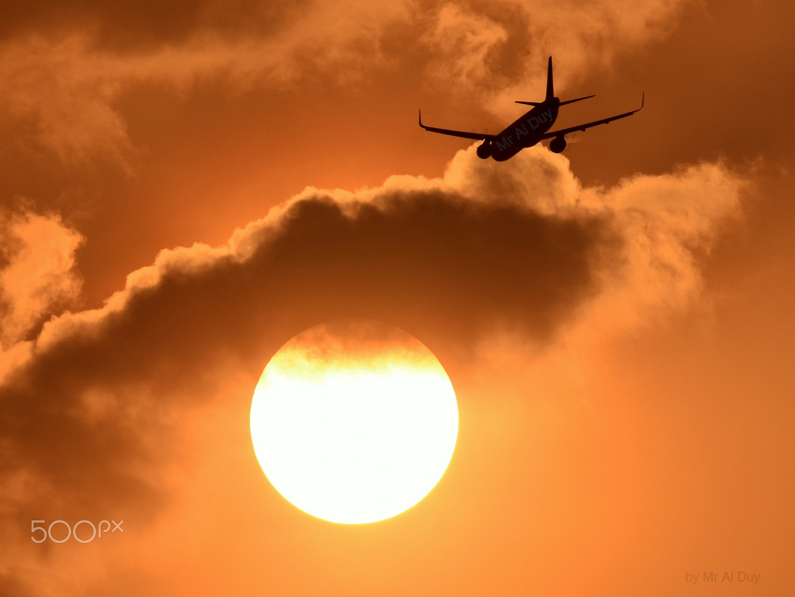 Nikon D7200 + Nikon AF-S Nikkor 300mm F4D ED-IF sample photo. Flying to the sun photography