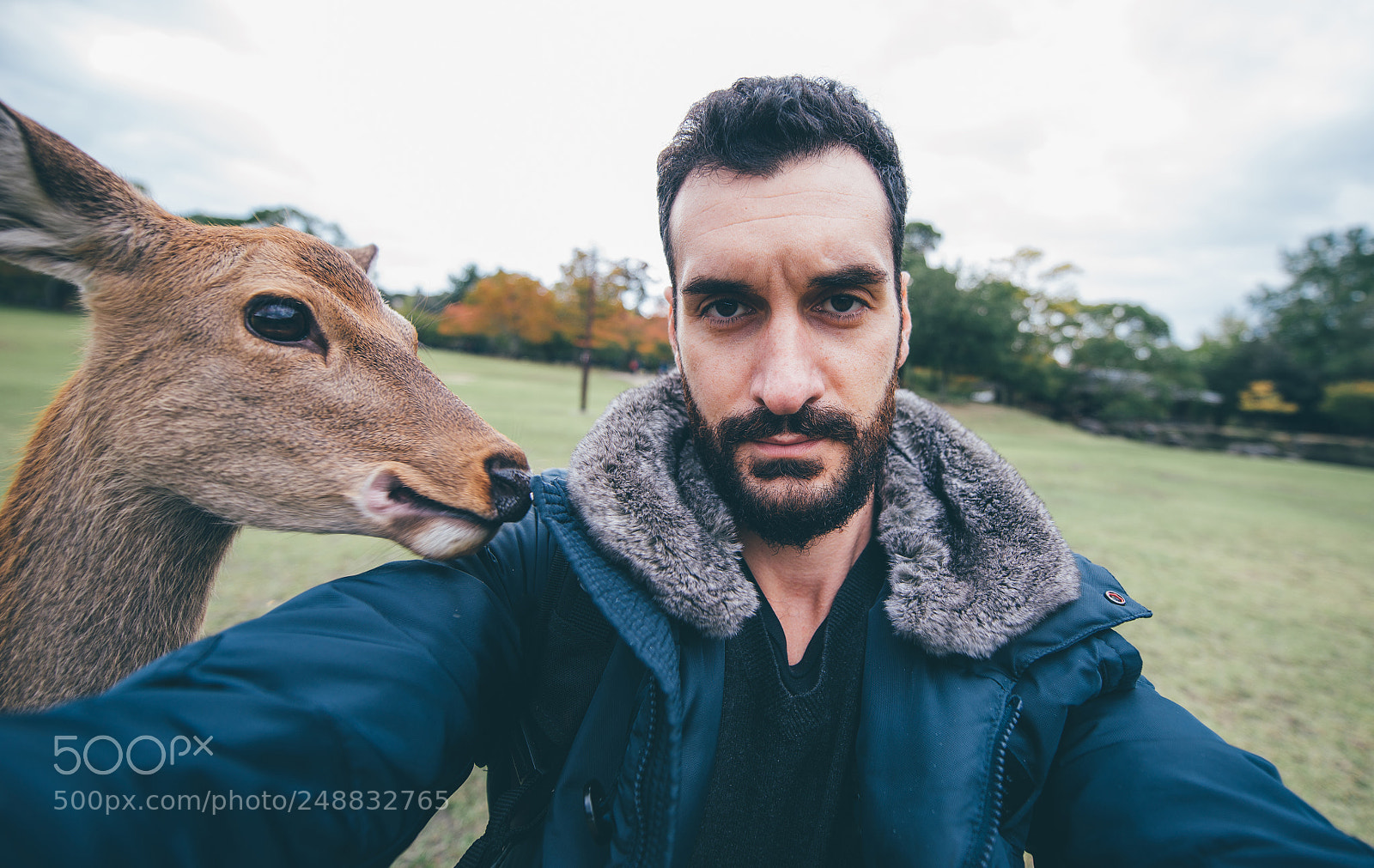 Nikon D610 sample photo. Deers and animals in photography