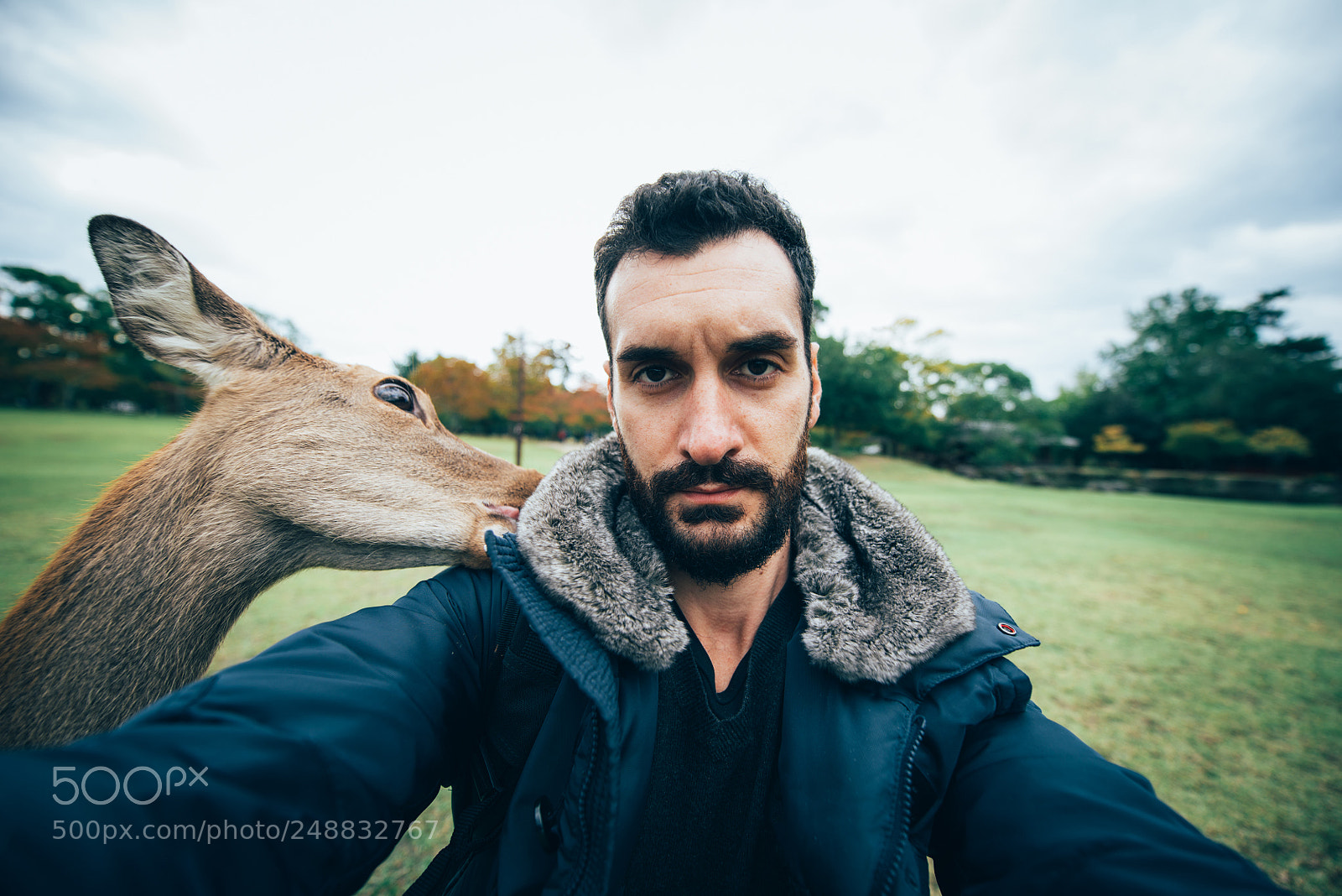 Nikon D610 sample photo. Deers and animals in photography