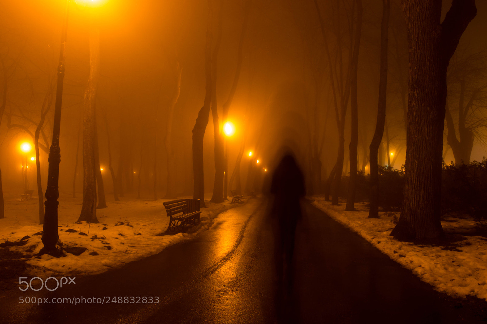 Nikon D3200 sample photo. Walk photography