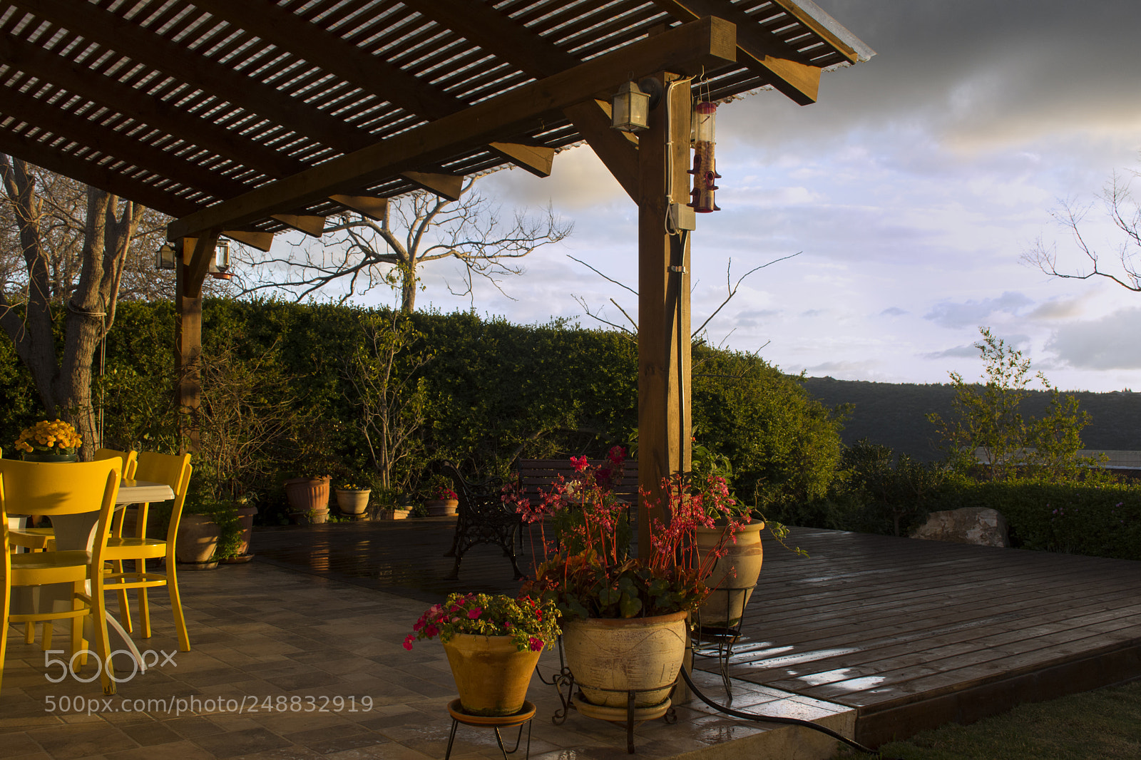 Nikon D7200 sample photo. {19} golden hour photography