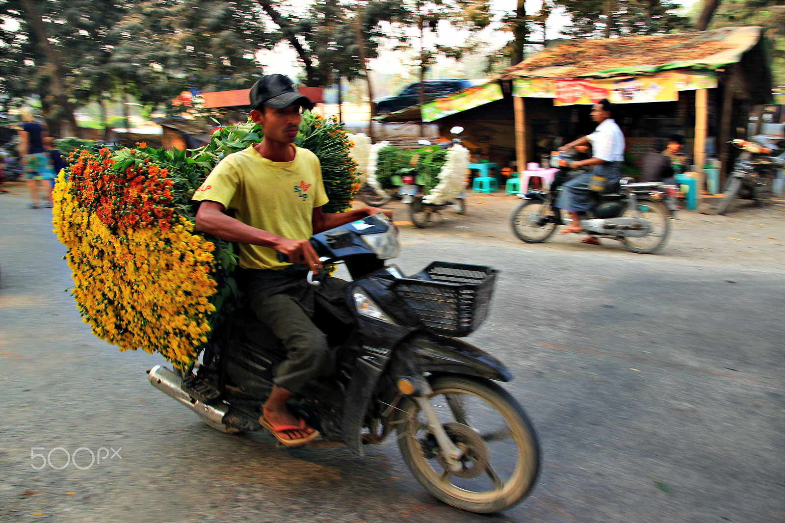 Canon EOS 600D (Rebel EOS T3i / EOS Kiss X5) sample photo. Flower power 🇲🇲 photography