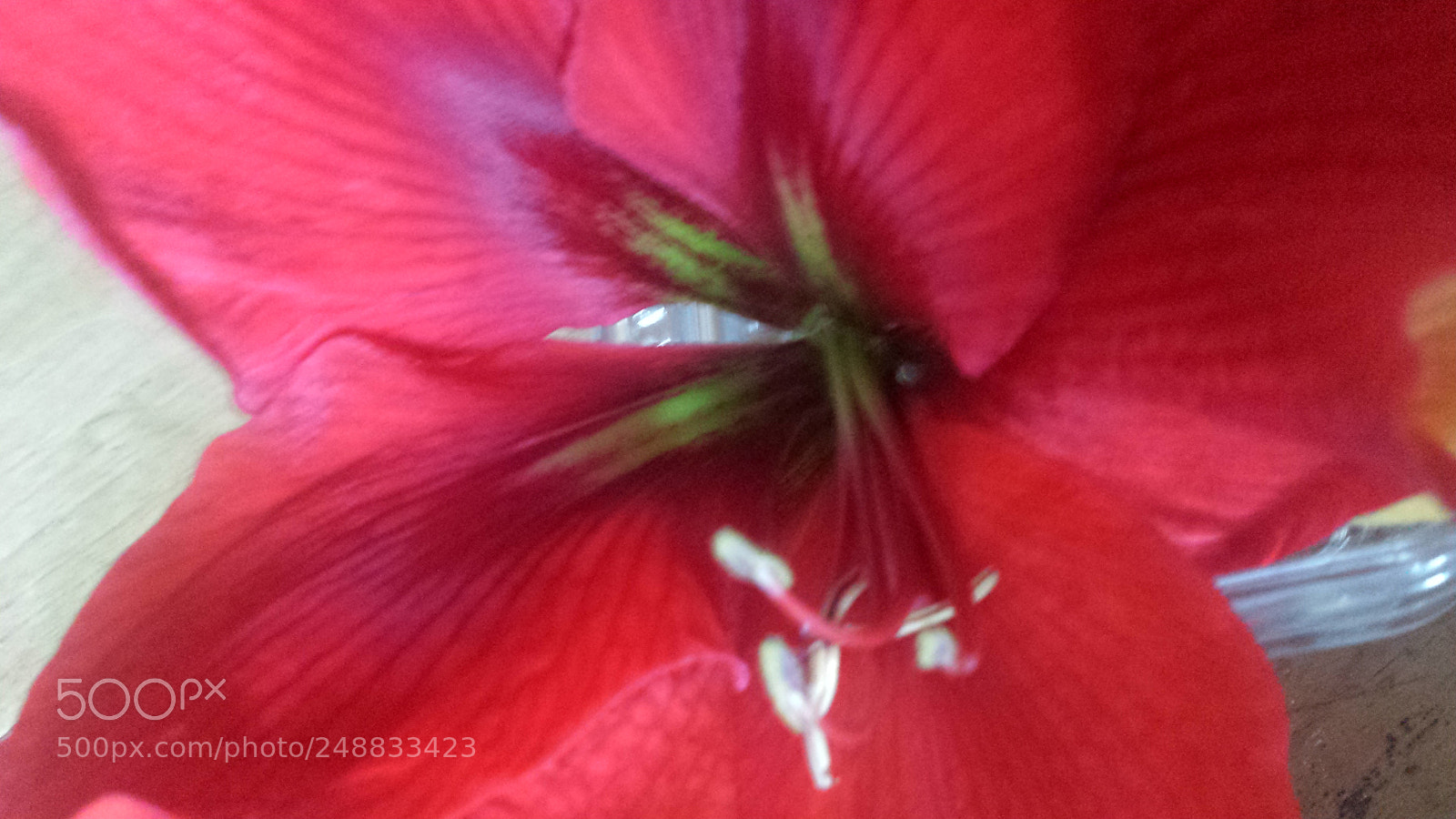 Samsung Galaxy S4 sample photo. Untitled photography