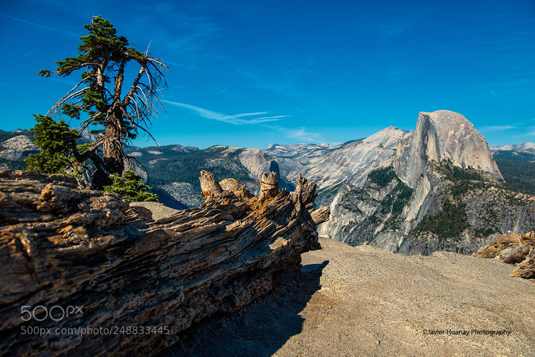Nikon D800 sample photo. "half dome" photography