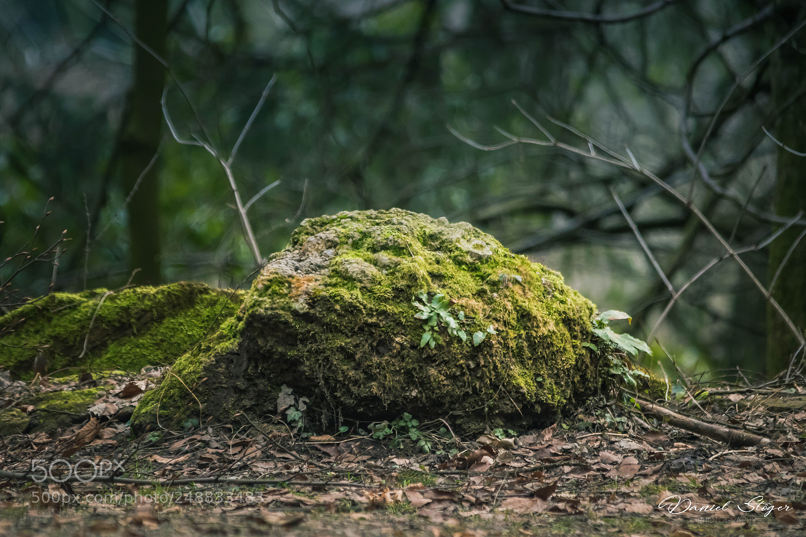 Canon EOS 7D Mark II sample photo. Stone photography