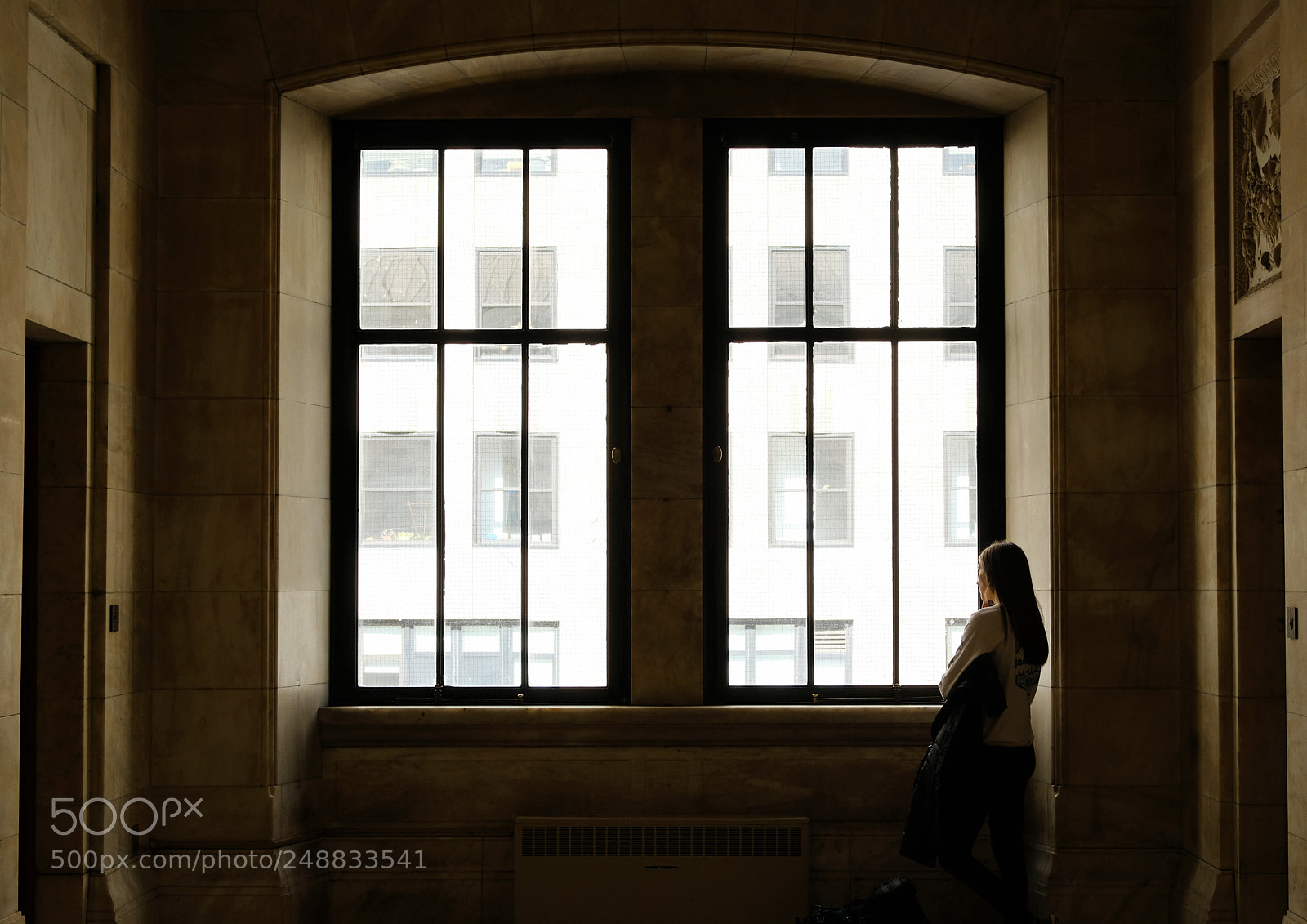Fujifilm X-T2 sample photo. Library window photography