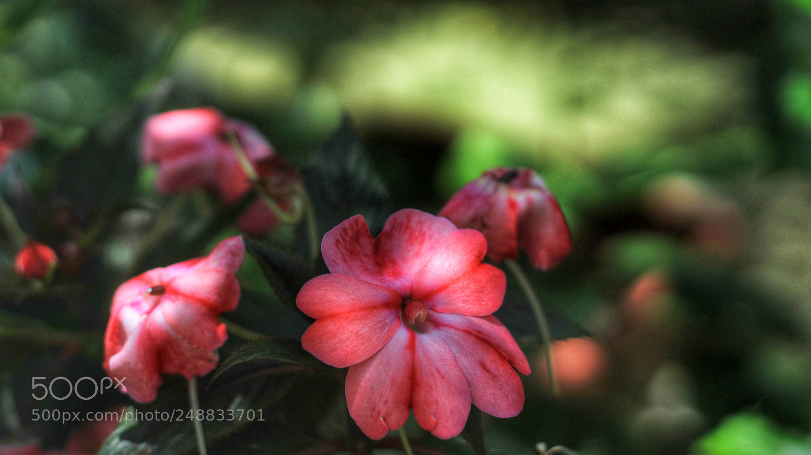 Canon EOS 1200D (EOS Rebel T5 / EOS Kiss X70 / EOS Hi) sample photo. Untitled photography
