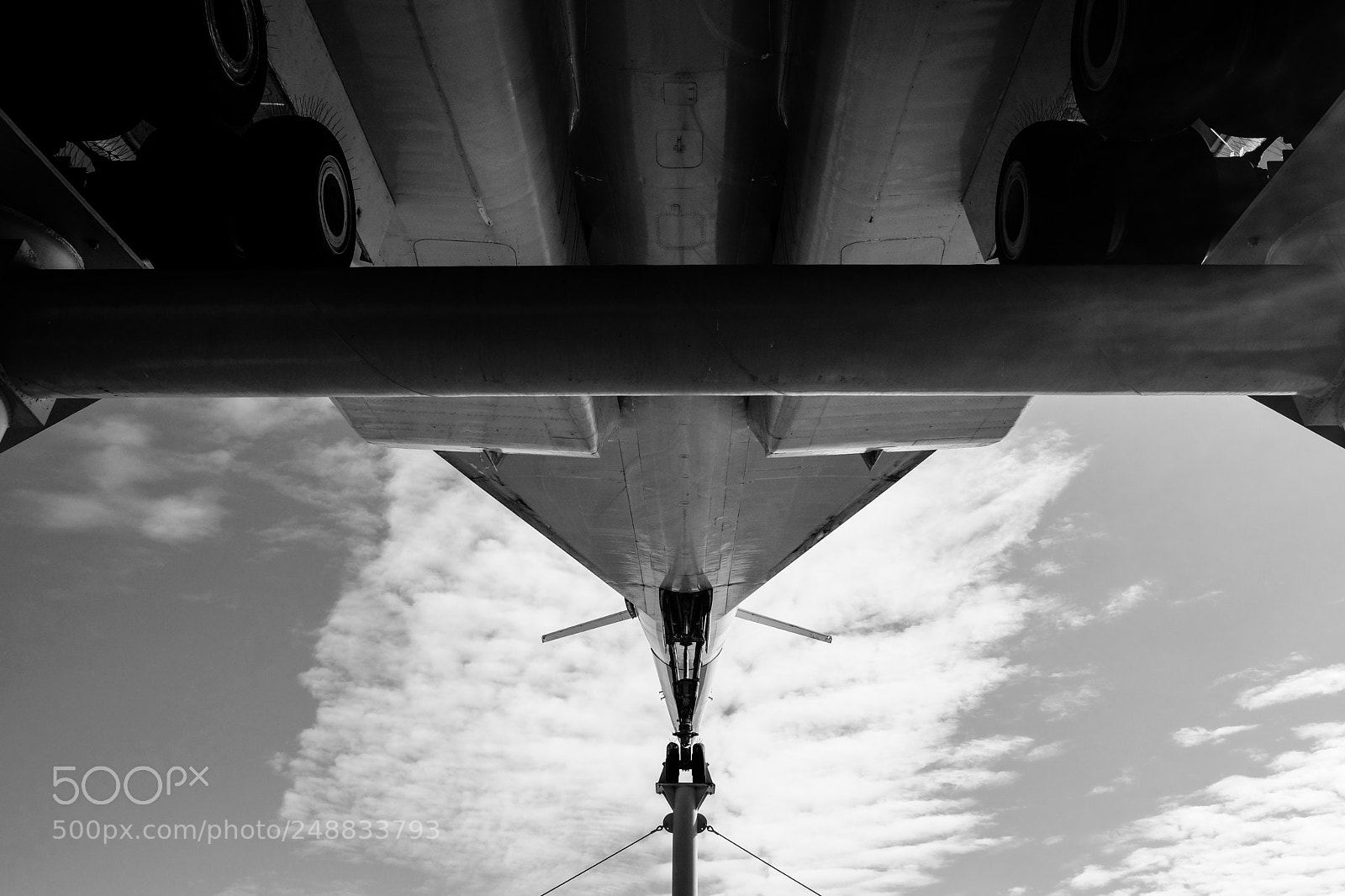 Fujifilm X-T20 sample photo. Under the wings of photography