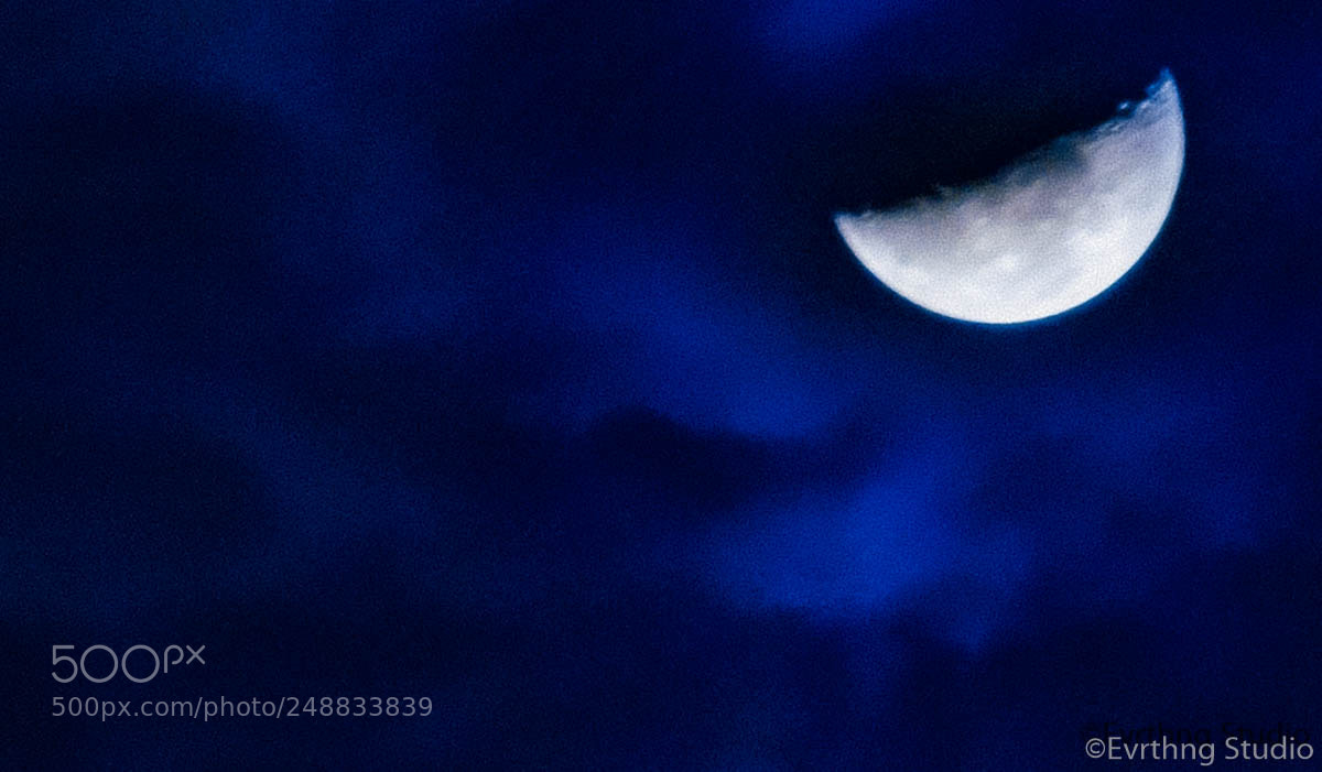 Nikon D5100 sample photo. A beleza de uma photography
