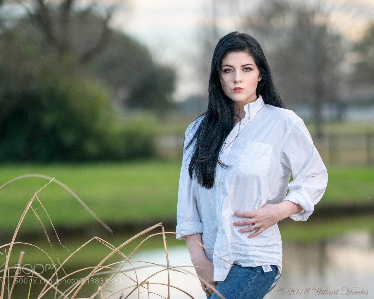 Sony a7R II sample photo. Sydney 2 photography