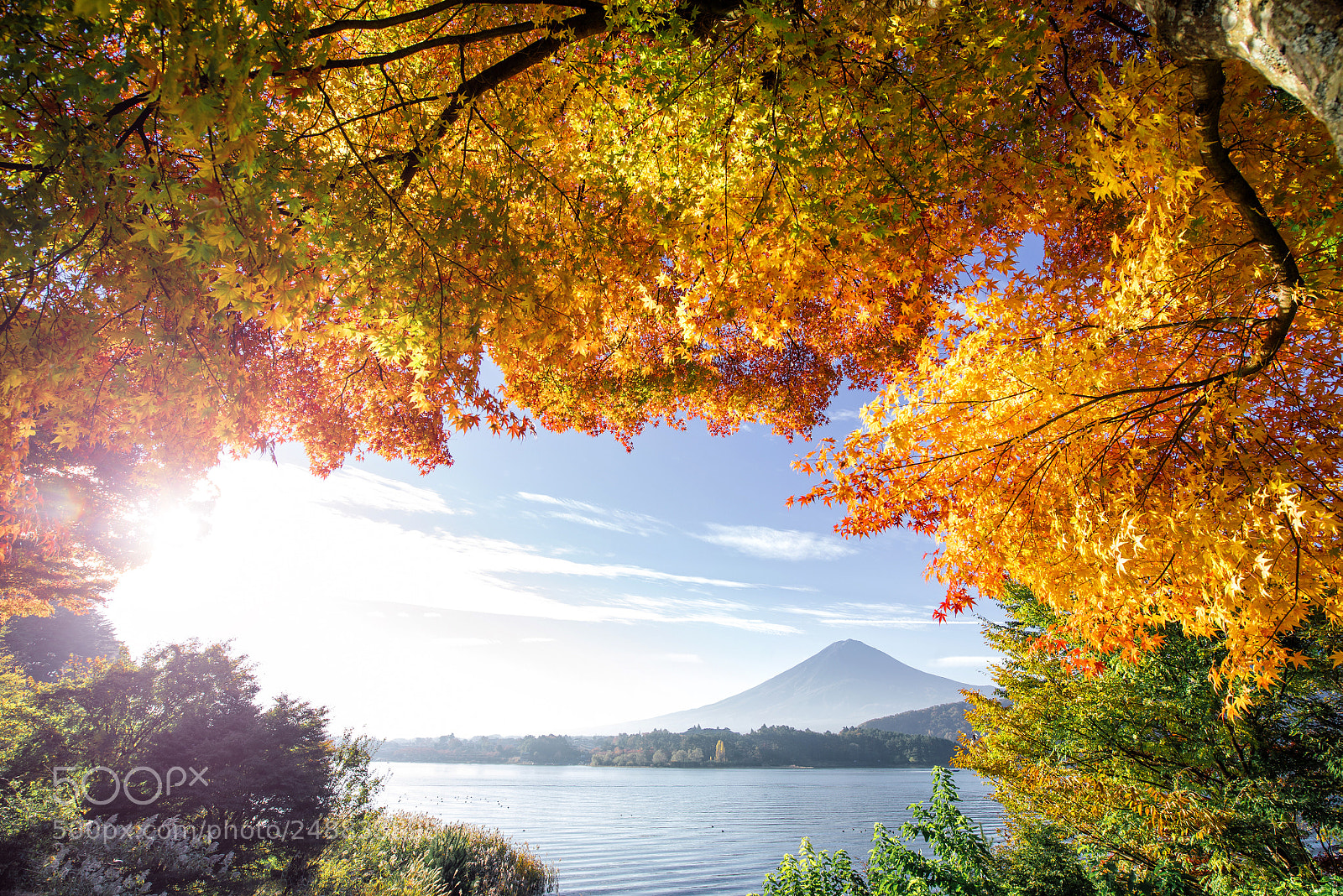 Nikon D610 sample photo. Fuji mountain view. the photography