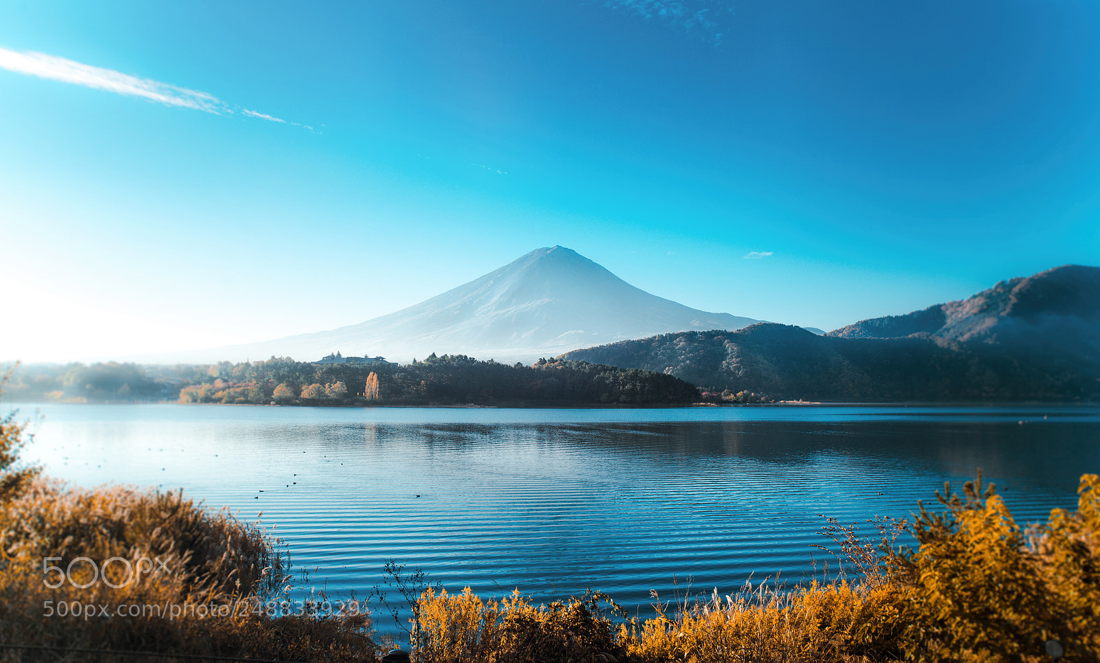 Nikon D610 sample photo. Fuji mountain view. the photography