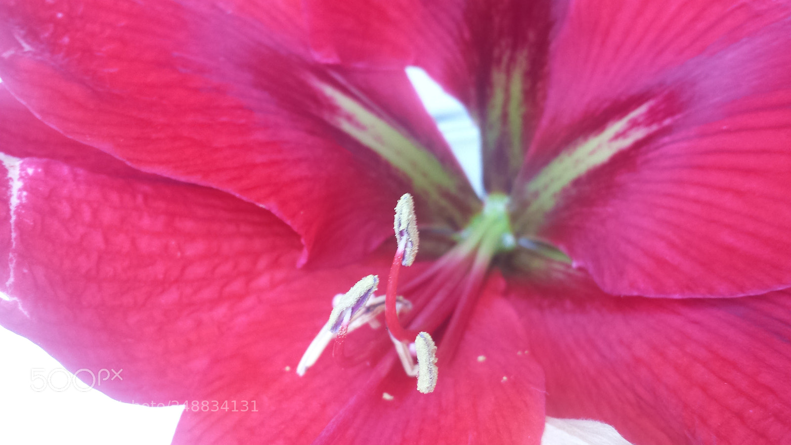 Samsung Galaxy S4 sample photo. Untitled photography