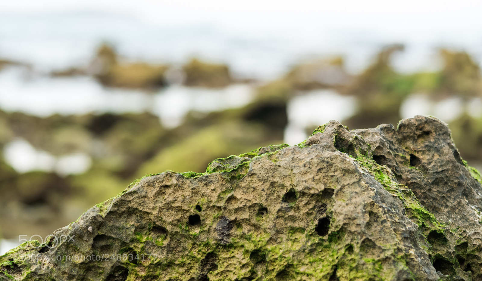 Sony a6500 sample photo. The dead corals photography