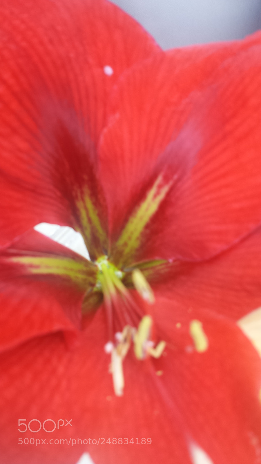 Samsung Galaxy S4 sample photo. Untitled photography