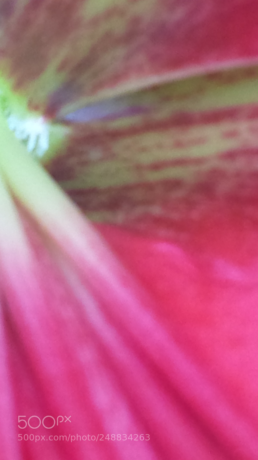 Samsung Galaxy S4 sample photo. Untitled photography
