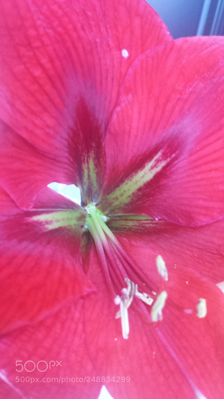 Samsung Galaxy S4 sample photo. Untitled photography