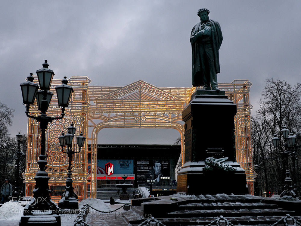Olympus OM-D E-M5 II sample photo. New year in moscow photography