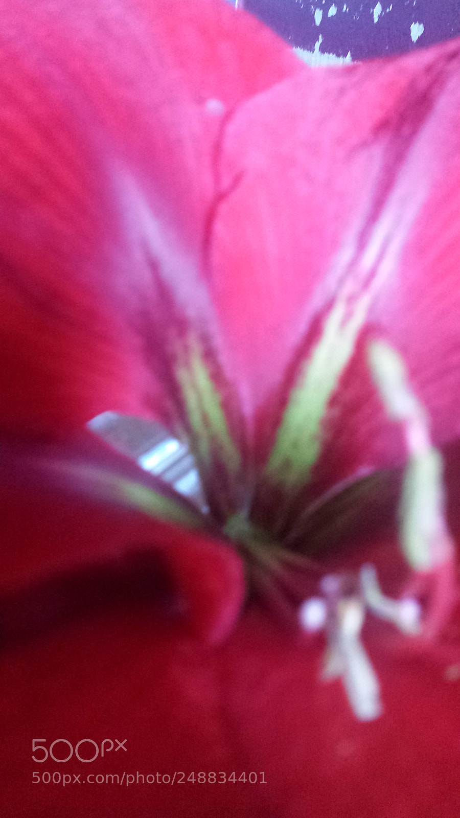 Samsung Galaxy S4 sample photo. Untitled photography