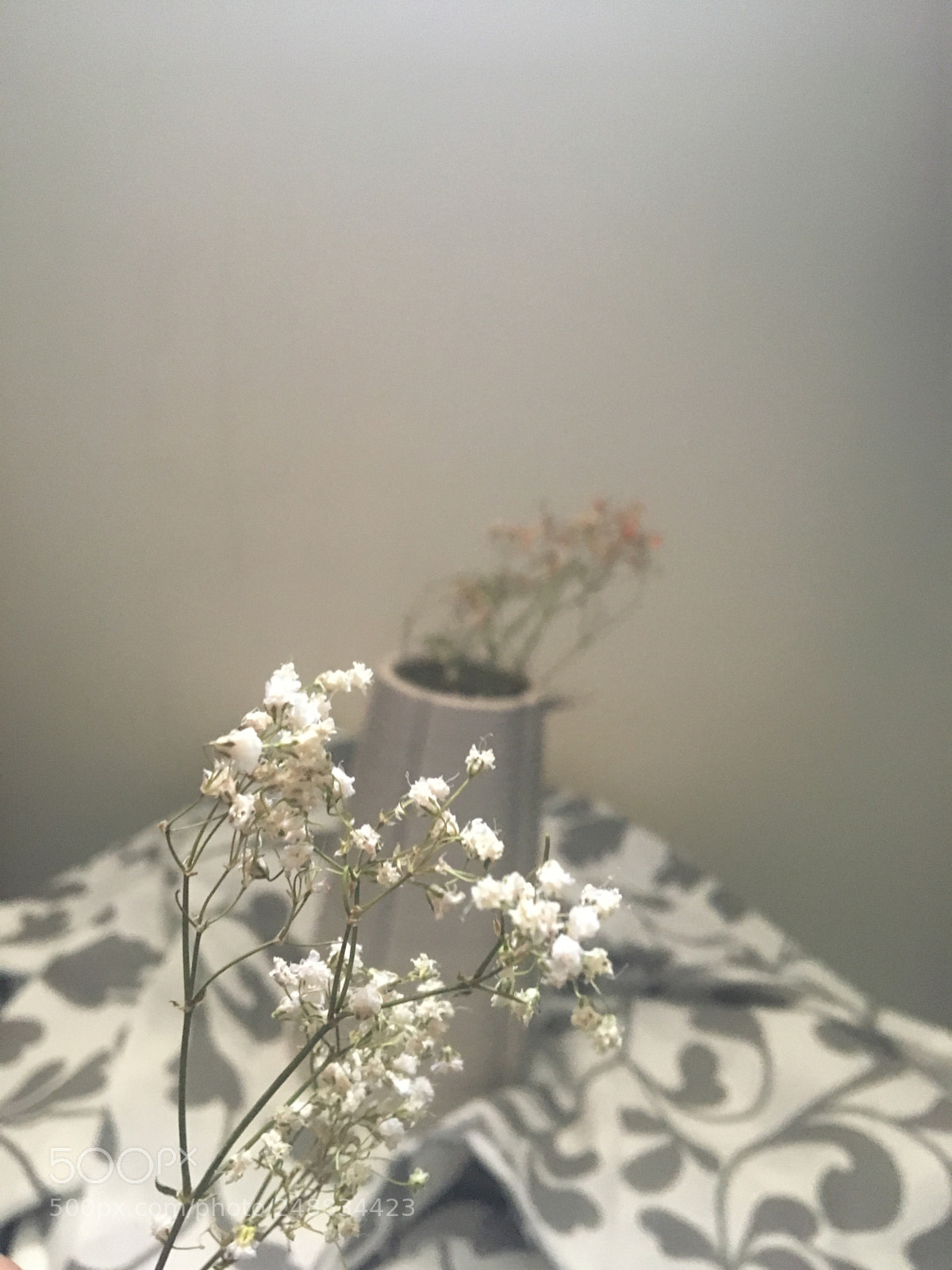 Apple iPhone 6s sample photo. Untitled photography