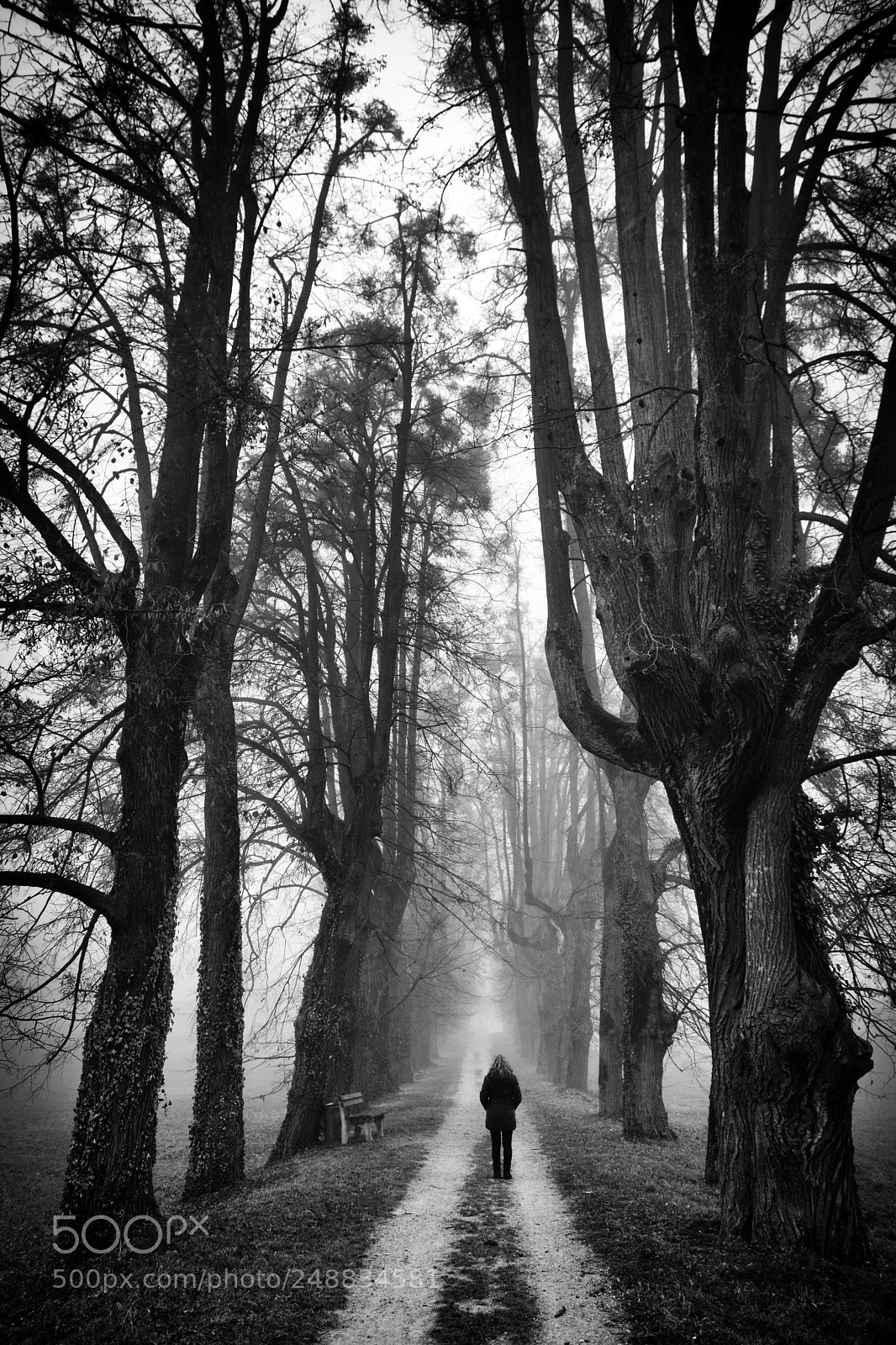 Nikon D7100 sample photo. Lone girl photography