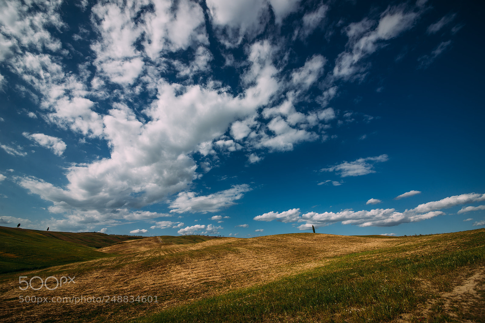Nikon D610 sample photo. Beautiful tuscan landscape photography
