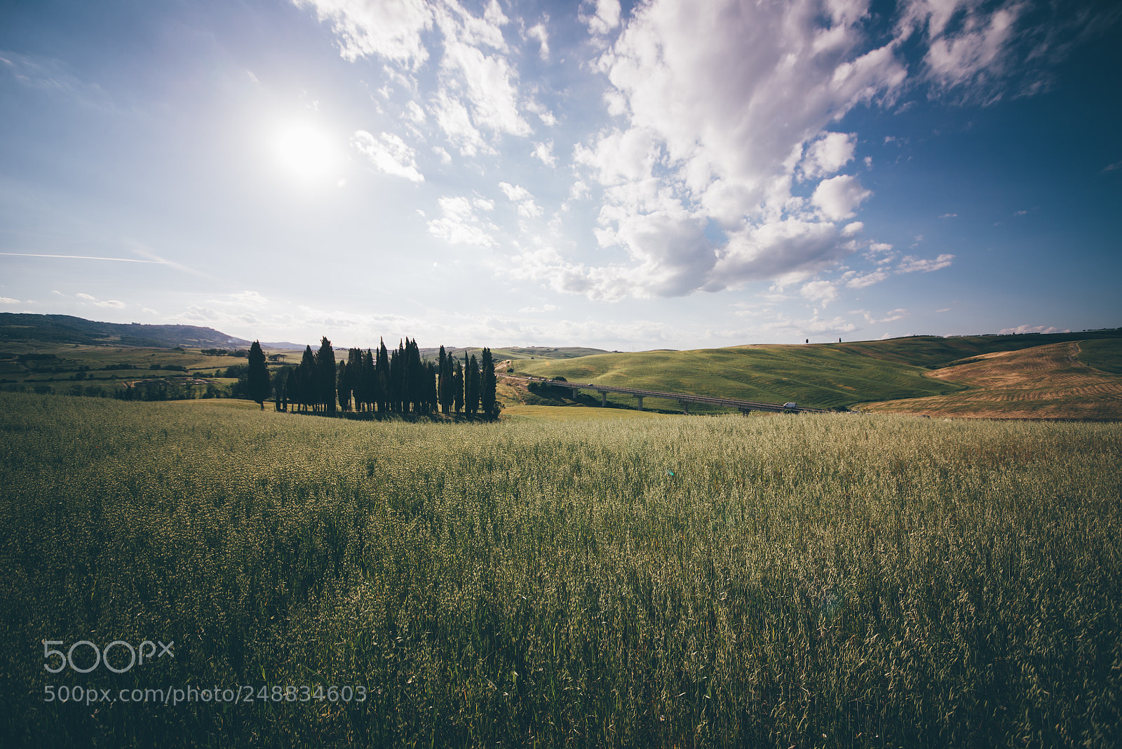 Nikon D610 sample photo. Beautiful tuscan landscape with photography