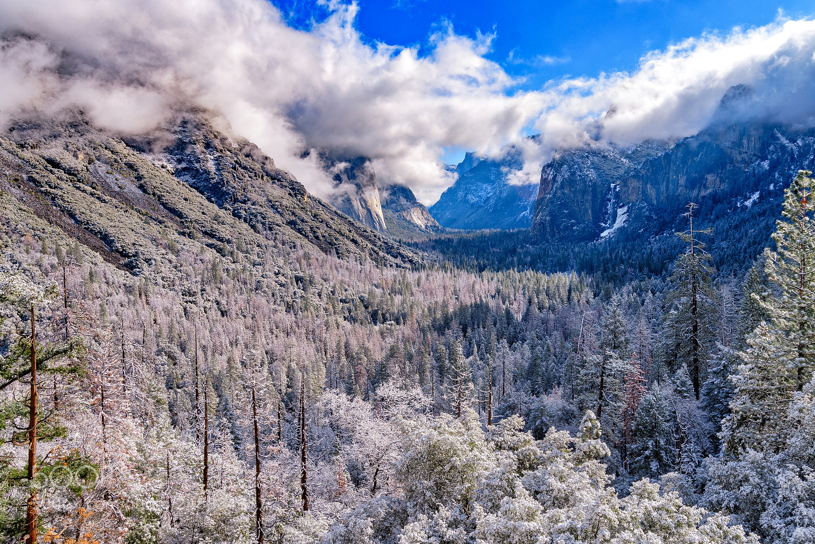 Nikon D500 sample photo. Tunnel view photography